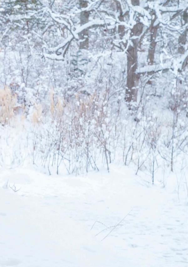 Whoseman-10-犬系男孩-安東尼-北海道特別企劃